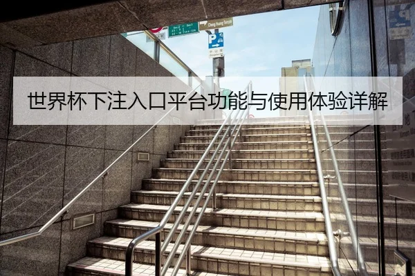 世界杯下注入口平台功能与使用体验详解