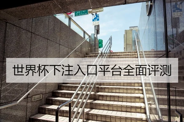 世界杯下注入口平台全面评测
