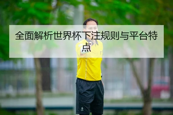 全面解析世界杯下注规则与平台特点