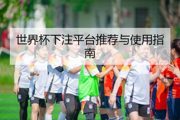 世界杯下注平台推荐与使用指南