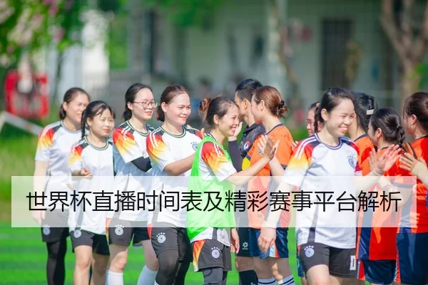 世界杯直播时间表及精彩赛事平台解析