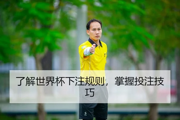 了解世界杯下注规则，掌握投注技巧