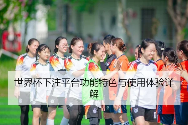 世界杯下注平台功能特色与使用体验详解