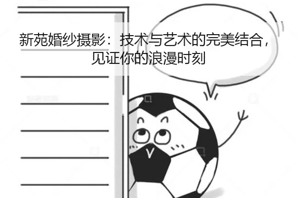 新苑婚纱摄影：技术与艺术的完美结合，见证你的浪漫时刻