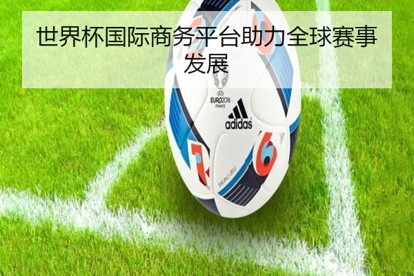 世界杯国际商务平台助力全球赛事发展