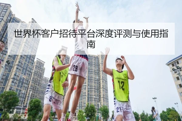 世界杯客户招待平台深度评测与使用指南
