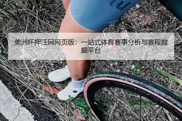 美洲杯押注网网页版：一站式体育赛事分析与赛程数据平台