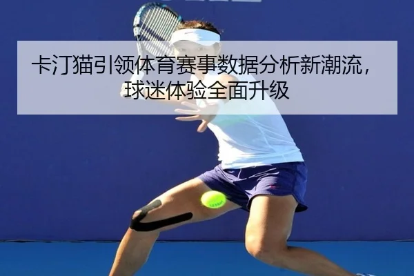 卡汀猫引领体育赛事数据分析新潮流，球迷体验全面升级